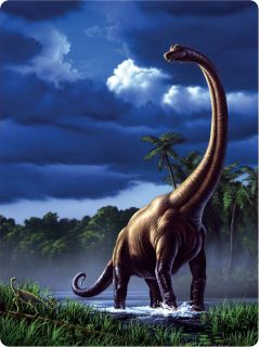 Obrázek z Pohlednice 3D 16cm - Brachiosaurus (25) 